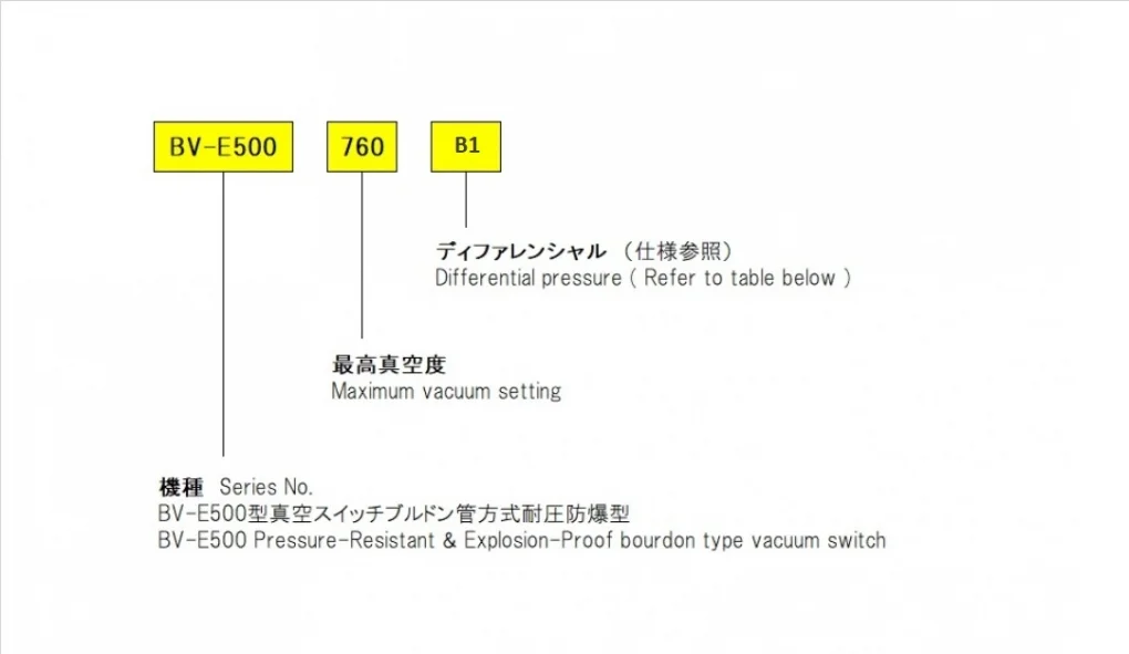 BV-E500规格表