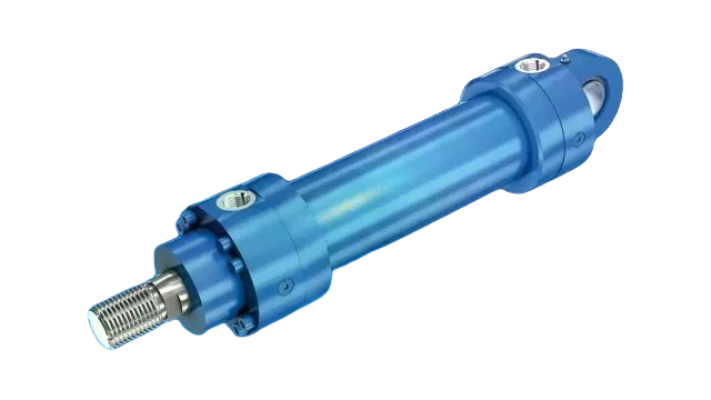 CDM1